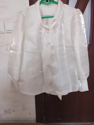 Блузка из органзы 2