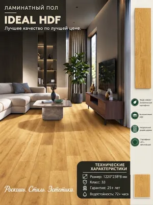 Tarket/Laminat/Tarket ombor narxlarida/Laminat 1