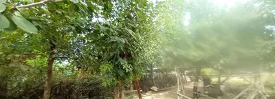 Sotiladi yuqori chirchiqda 1
