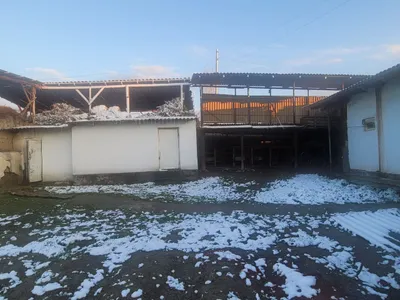 uy sotiladi hovli 1