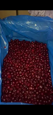 Вишня без косточки (шоковая заморозка) — коробки по 10 кг 1