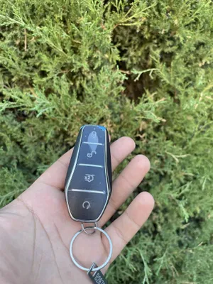 Aginal BYD pult