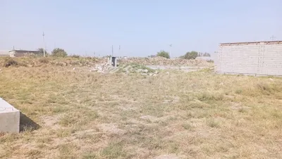 Yer yangi batosh, 6 sotix 1