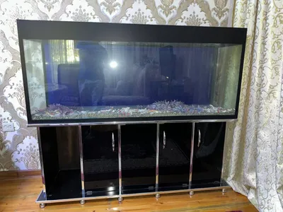 akvarium sotiladi 1