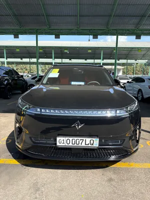 Dongfeng 008 2025 1