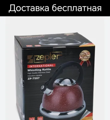 Choynak chaynik Чайник со свистком свисток чойнак доставка бесплатная 1