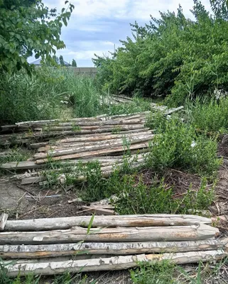 Продам старый дрова 1