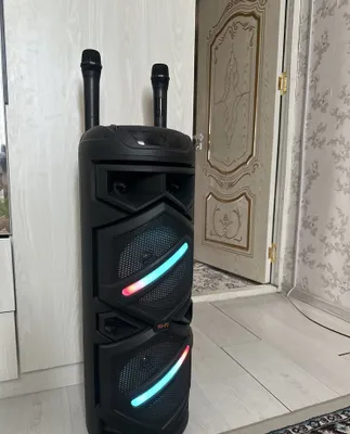 Новая колонка для караоке 1