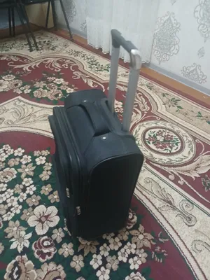 g'ildirakli sumka sayohat uchun