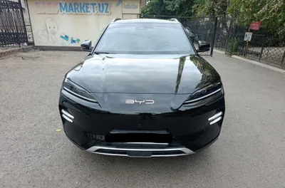 Byd Champion Honor 1