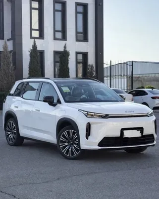 Gac aion i60 530km 1
