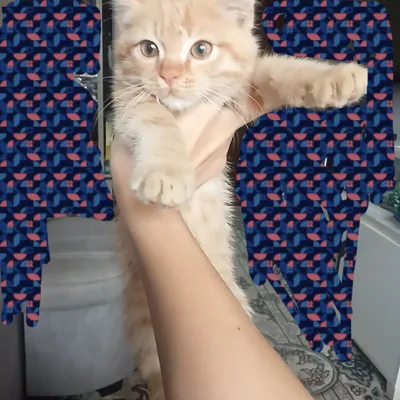 Men unga pul berdim va u uni sikishimga ruxsat berdi.