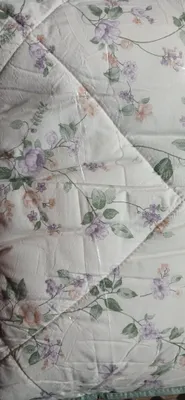 paxta korpa 1