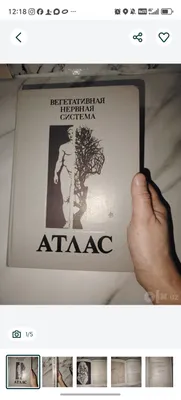 Атлас Вегетативная нервная система. 1