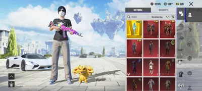 OLD pubg ACCOUNT SOTILAD 1