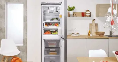 Indesit muzlatgichi. Barcha modellar mavjud, O‘zbekiston bo‘ylab yetkazib berish, bo‘lib to‘lash 1