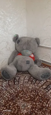 teddy ayiq katta sotiladi kelishtirib beriladi 1