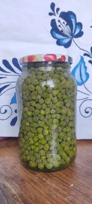 Продаются каперсы 1
