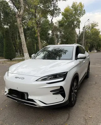 Byd chempion oq 2023 1