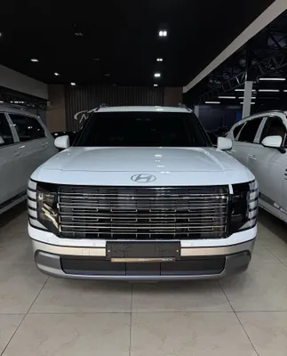Hyundai Palisade 1