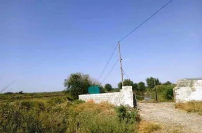 Здание-рыбник 1