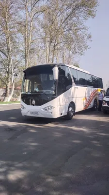 ZHONG TONG Bus sotiladi 1
