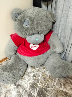 teddy 1