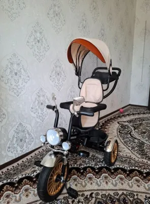 Велоколяска: Popypapa 1