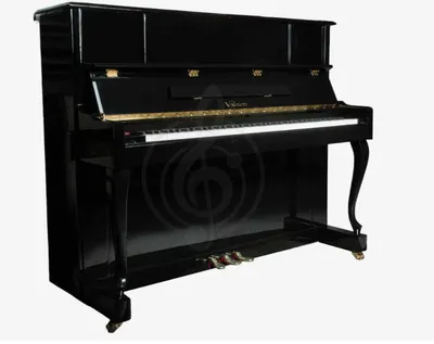 моделVivoton V123Bи