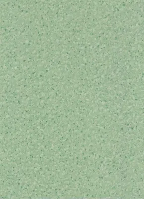 Linoleum linolium leonelom 1