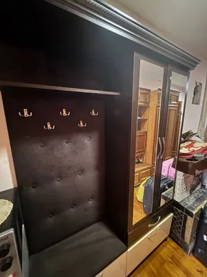 Прихожий гардиробный шкаф 1