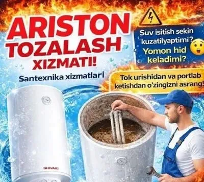Услуга очистки Ariston 1