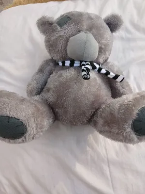 TEDDY