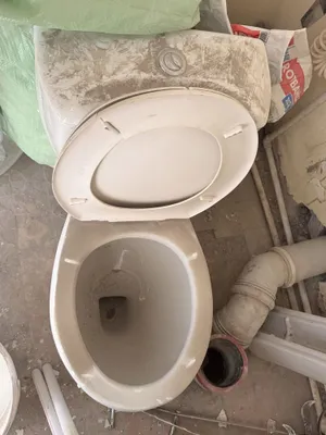 Oddiy oq unitaz 1