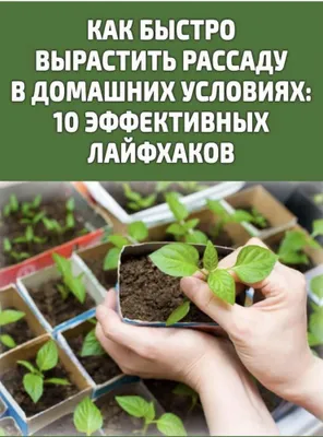 Чернозём и биогумус оптом по низким ценам 1