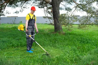 O‘t o‘rish, tomorqani tozalash