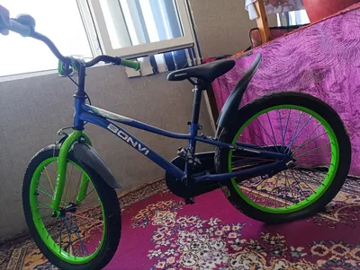 O‘smirlar velosipedi 1