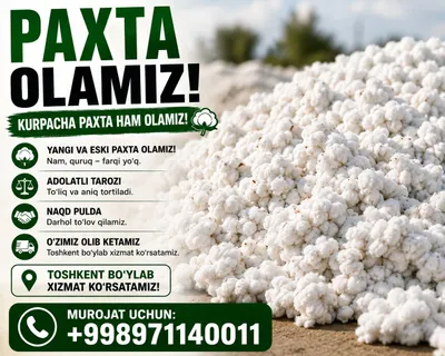 paxta