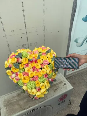Сердце