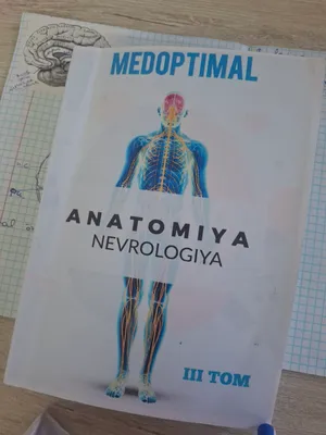 Анатомия MedOptimal, 3 тома, неврология 1