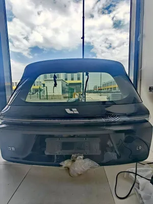 Автозапчасти для Li9 Li Motors 1