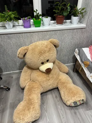 Большой плюшевый мишка Teddy и жёлтый мишка 1