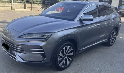 Byd chempion gibrid 150 tali kraska toza