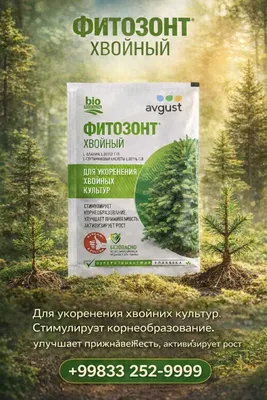 Фитозонт Хвойный, Стимулирует корнеобразование, улучшает приживаемость