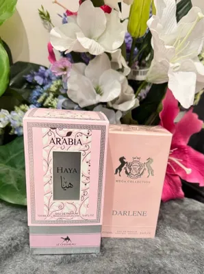 Arabia Haya и Darlene