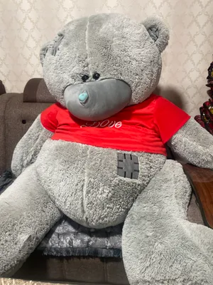 Серый медведь длиной 1,30 м 1