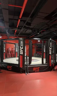 Октагон, сетка UFC