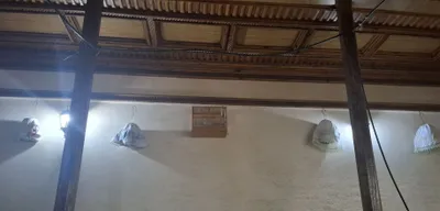 Продаются поющие перепела