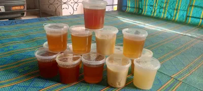 TOZZA TLGʻ ASALI 1