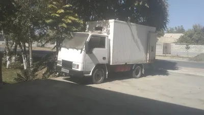 гурзавой 2006